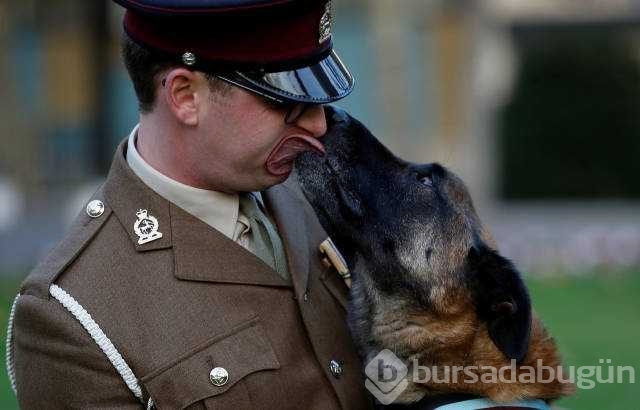 Reuters 2017'nin en iyi fotoğraflarını seçti