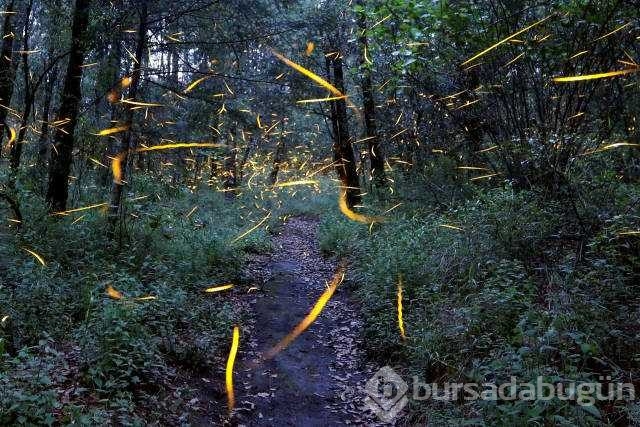 Reuters 2017'nin en iyi fotoğraflarını seçti