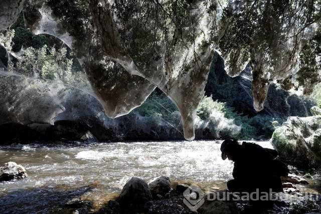Reuters 2017'nin en iyi fotoğraflarını seçti