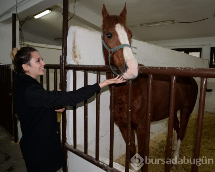 Bursa'da yaptıkları işlerle erkeklere taş çıkartıyorlar