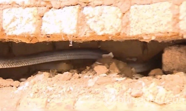 Duvarı deldiler, çıkanlar şoke etti