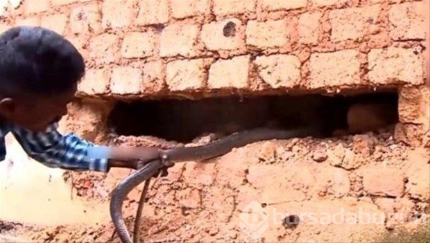 Duvarı deldiler, çıkanlar şoke etti