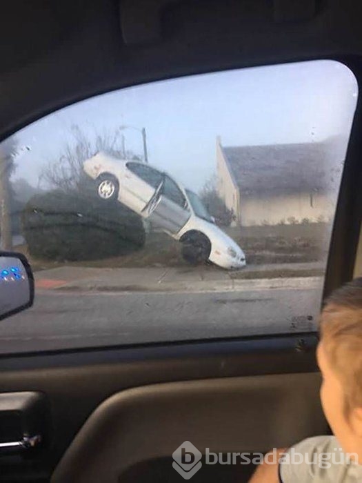Birbirinden ilginç kareler!
