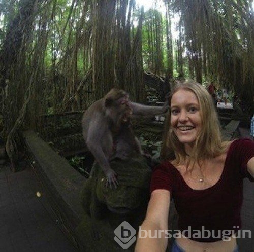 En çılgın Selfie'ler