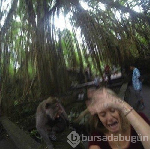 En çılgın Selfie'ler