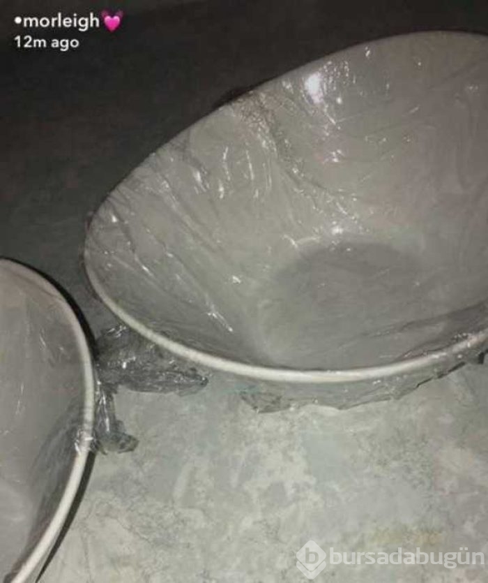 Bilim dünyasını şaşırtan üşengeç insanlar