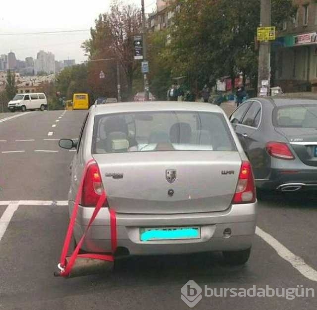 Bilim dünyasını şaşırtan üşengeç insanlar