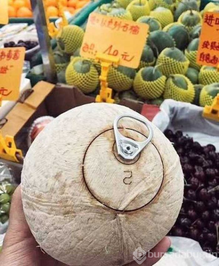 Bilim dünyasını şaşırtan üşengeç insanlar