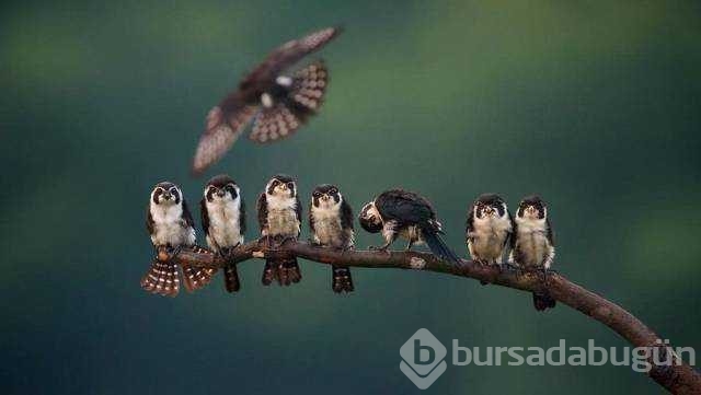 Günün en çok paylaşılan fotoğrafları