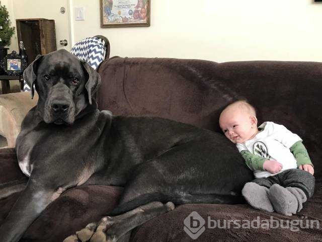 Günün en çok paylaşılan fotoğrafları