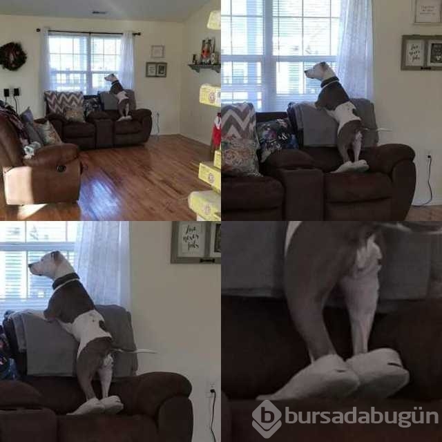 Günün en çok paylaşılan fotoğrafları