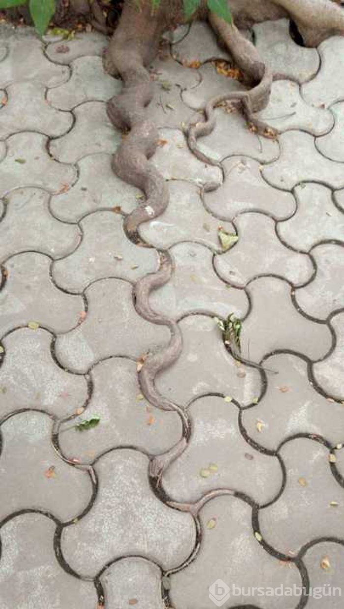 Günün en çok paylaşılan fotoğrafları