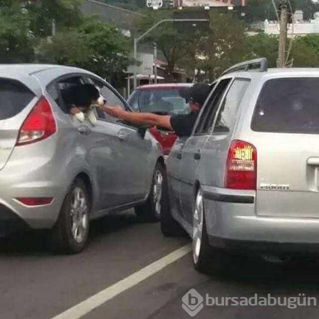 Günün en çok paylaşılan fotoğrafları