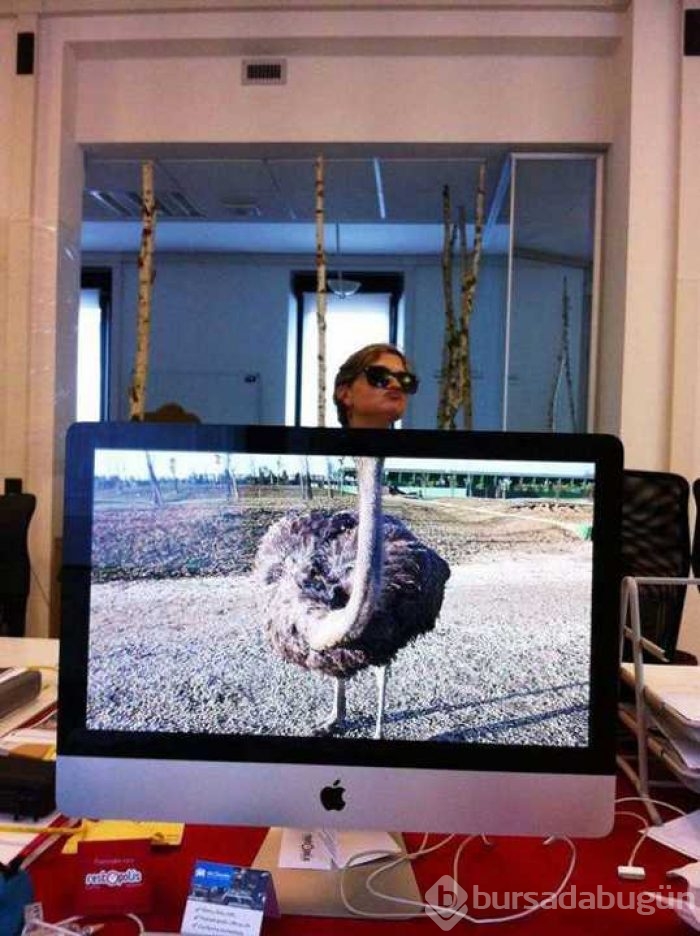 Günün en çok paylaşılan fotoğrafları