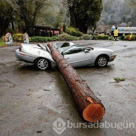 Park edip gidince olanlar oldu!