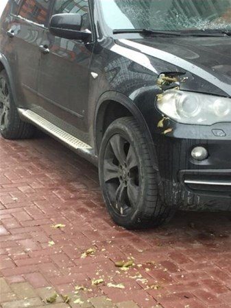 Park edip gidince olanlar oldu!