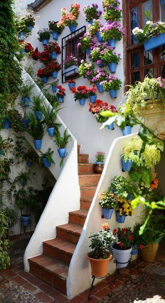 En güzel balkon ve bahçe çiçekleri