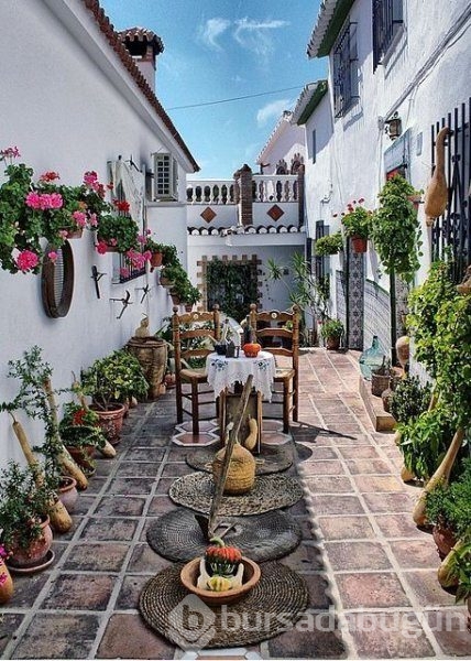 En güzel balkon ve bahçe çiçekleri