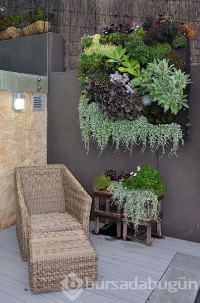 En güzel balkon ve bahçe çiçekleri