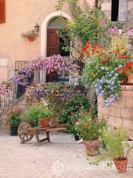 En güzel balkon ve bahçe çiçekleri