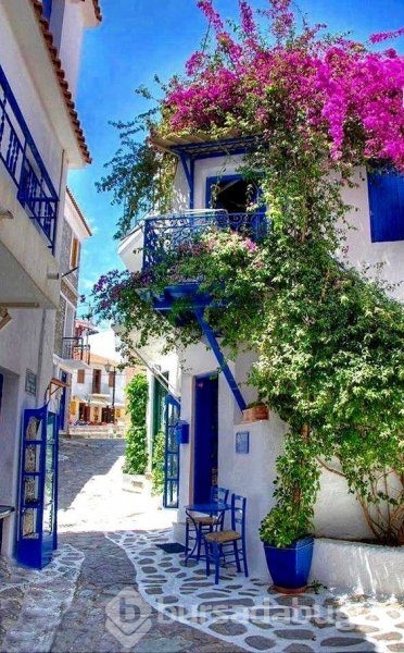 En güzel balkon ve bahçe çiçekleri
