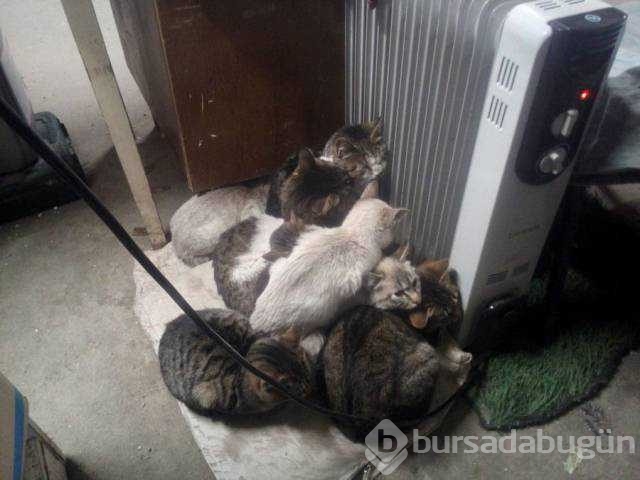 Günün en çok paylaşılan fotoğrafları