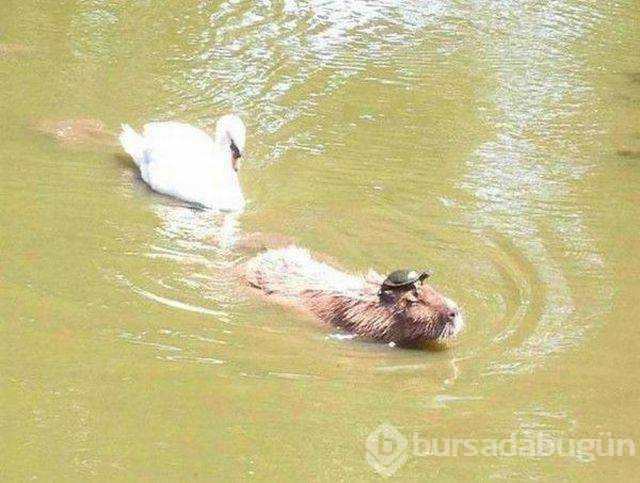 Günün en çok paylaşılan fotoğrafları