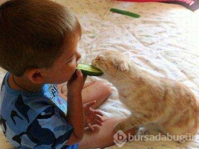 Günün en çok paylaşılan fotoğrafları