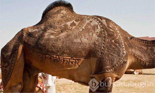 Günün en çok paylaşılan fotoğrafları