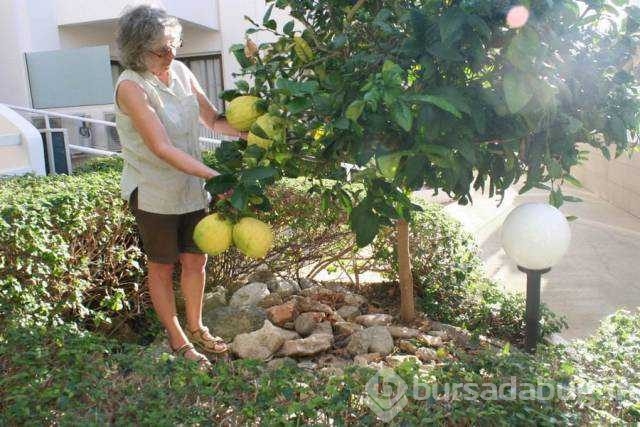 Günün en çok paylaşılan fotoğrafları