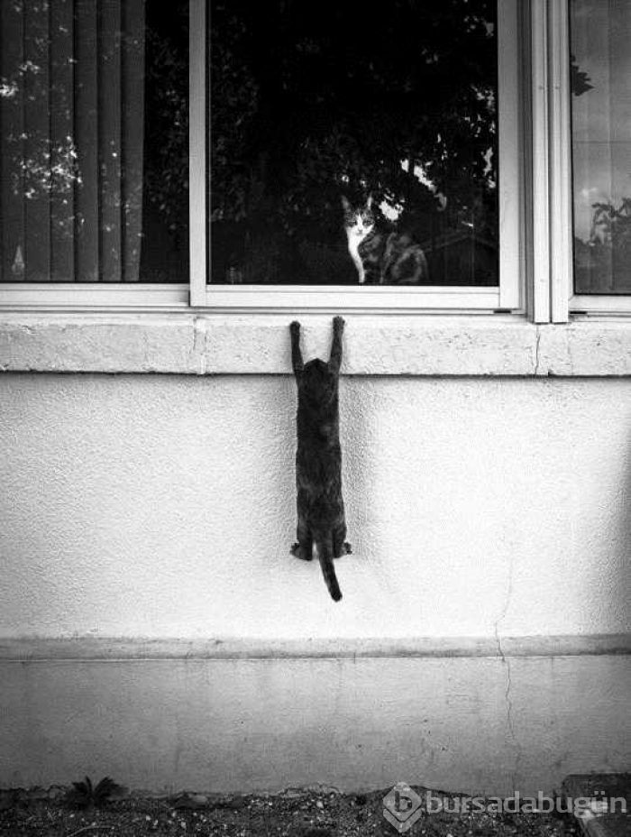 Günün en çok paylaşılan fotoğrafları