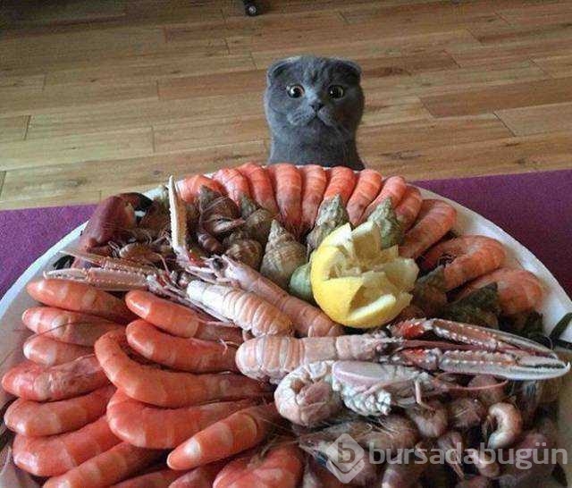 Günün en çok paylaşılan fotoğrafları