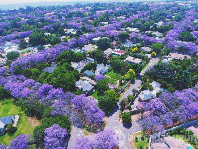 Günün en çok paylaşılan fotoğrafları