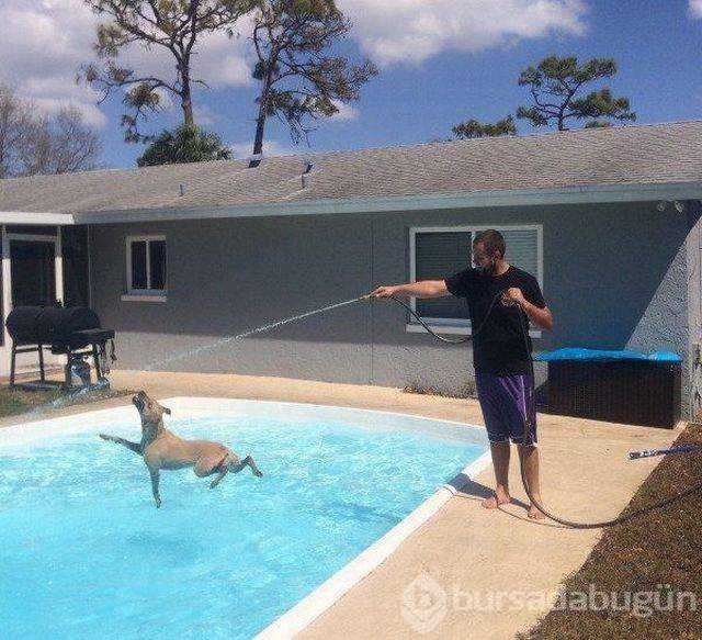 Günün en çok paylaşılan fotoğrafları