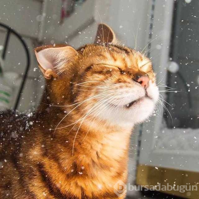 Günün en çok paylaşılan fotoğrafları