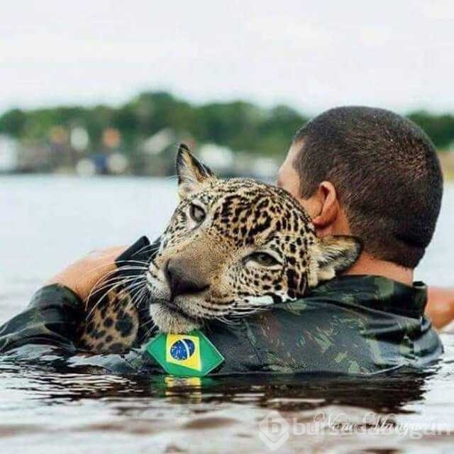 Günün en çok paylaşılan fotoğrafları