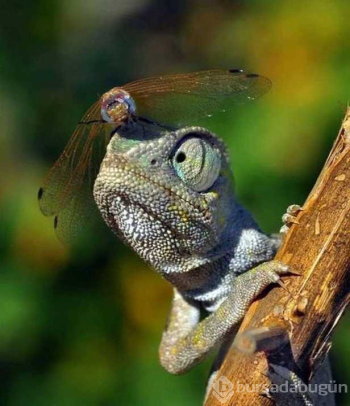 Günün en çok paylaşılan fotoğrafları