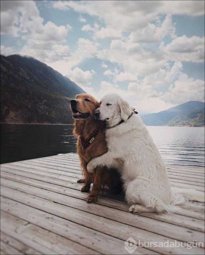 Günün en çok paylaşılan fotoğrafları