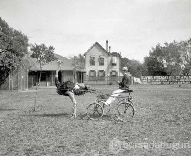 Günün en çok paylaşılan fotoğrafları