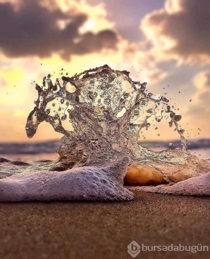 Günün en çok paylaşılan fotoğrafları