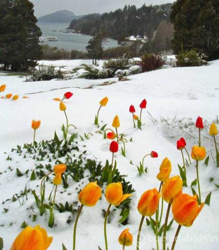Günün en çok paylaşılan fotoğrafları