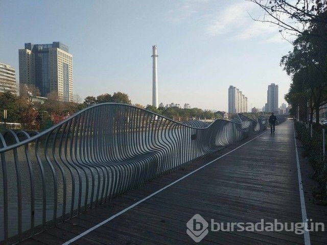 Günün en çok paylaşılan fotoğrafları