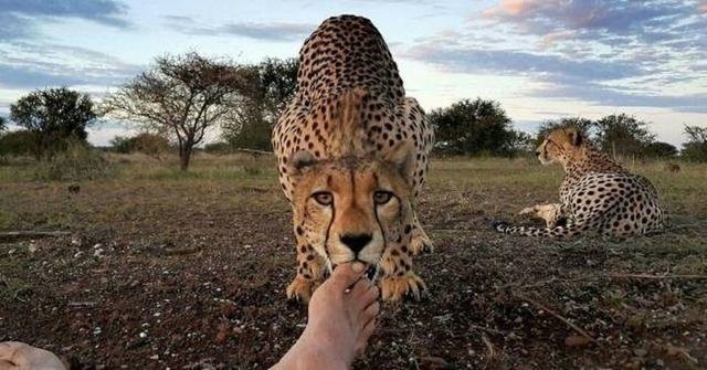 Günün en çok paylaşılan fotoğrafları