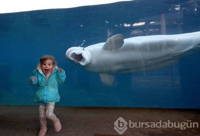 Günün en çok paylaşılan fotoğrafları