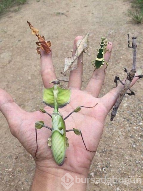 Günün en çok paylaşılan fotoğrafları