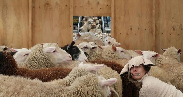 Günün en çok paylaşılan fotoğrafları