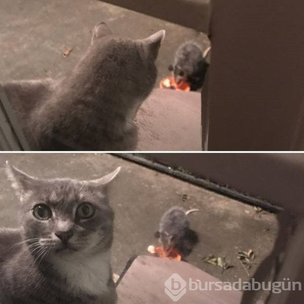 Dünyadan ilginç kareler!
