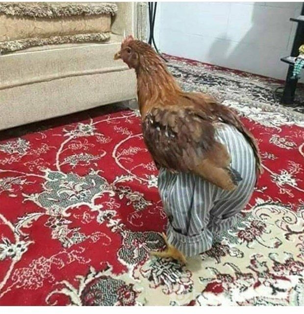 Yurdum insanından güldüren kareler!