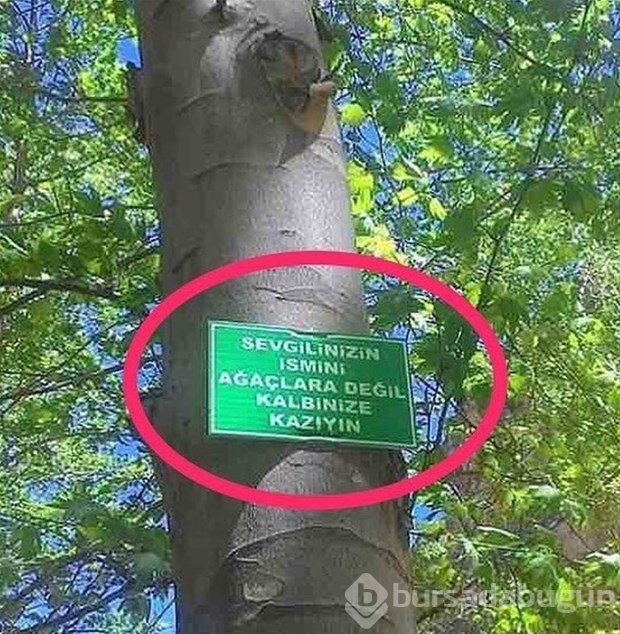 Yurdum insanından güldüren kareler!