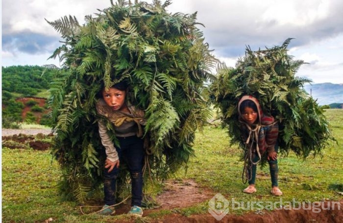 Siena Uluslararası Fotoğraf Ödülleri
